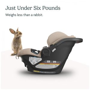 image-8c8782d0bf0741bc8d8275e18ffc5cae