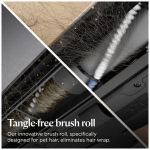 image-88ee9005eec04adbb2fcc4b4c90ec3c3