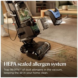 image-d334af0ae2c3448081dbd4a40299d58e