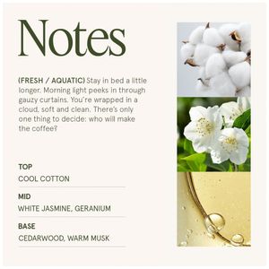 image-cfe471c11083447db4e124b0809a48c3