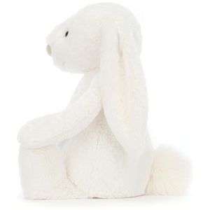 image-ed29797873644d36965c19e9f7552397