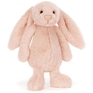 image-3f219bbffbcb4004a91b72bbaf09a369