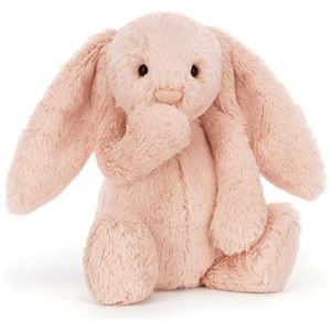 image-52b4d9b6b0c443d9a0ab35e547958235