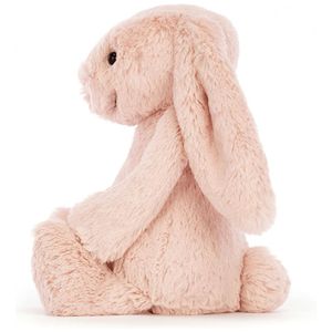 image-0792a5c868504392a716c7602776bac9