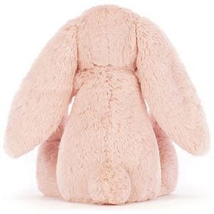 image-5d273b82ad60455095a834f866ccca68