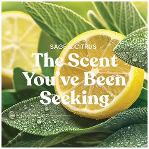 image-14f50e6b45ac4101bcb92d439ec6b604