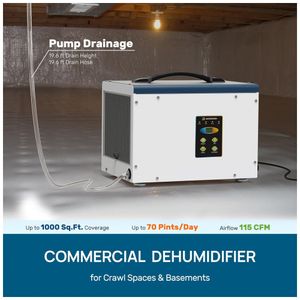 image-daf50b2572034c7b942a30ddedf8a443 image-daf50b2572034c7b942a30ddedf8a443