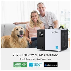 image-a703ab6451c14a8ab2eab02766b24871 image-a703ab6451c14a8ab2eab02766b24871