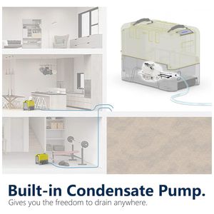 image-19599bc291554de795fdc41251c0e089 image-19599bc291554de795fdc41251c0e089