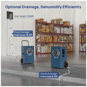 image-67a03232360843aca55e89c80a241f33 image-67a03232360843aca55e89c80a241f33