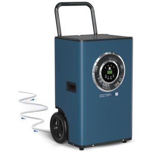 image-03e95f8a0b594f3fb93b1d3ed5dc09bf