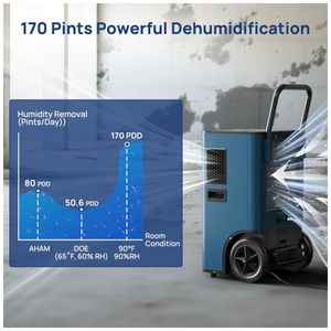 image-b901f245e3fe4e4c8af3479791f53c1c image-b901f245e3fe4e4c8af3479791f53c1c