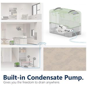 image-659eff9172c84a2c9941d46ec3581274 image-659eff9172c84a2c9941d46ec3581274