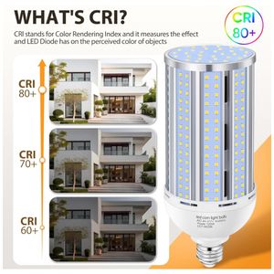 image-e0079fd0cb4745e4a978683891fd5c4f