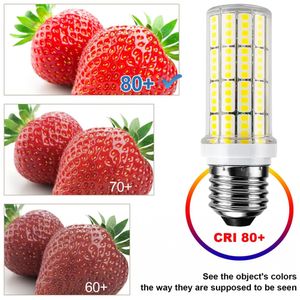 image-04086b66d7d74b70b0c11a9fb45d56df