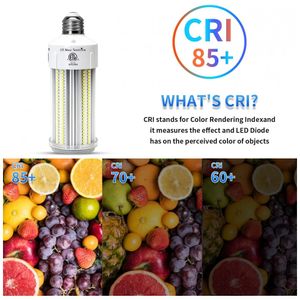 image-15e89991735f4e92b85d058685b1f175 image-15e89991735f4e92b85d058685b1f175