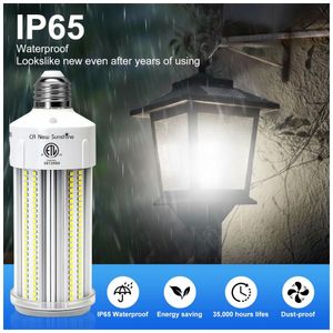 image-847b28586bb544828ef27fbf087086ee image-847b28586bb544828ef27fbf087086ee