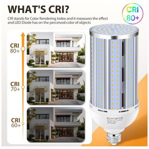 image-c69776ba36254e2cbfb5ee62969135dc image-c69776ba36254e2cbfb5ee62969135dc