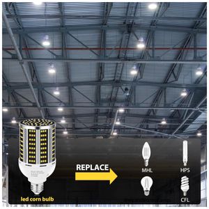 image-607e1810f8684e078cc8639a726ba095 image-607e1810f8684e078cc8639a726ba095