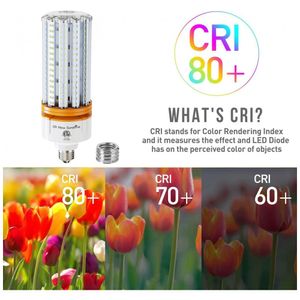 image-c9b311601d494c358a9bddcfc411dd07