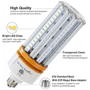 image-31a24899084140f899f92ffa63fa2774 image-31a24899084140f899f92ffa63fa2774