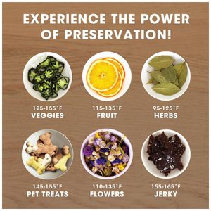 image-08e53844993848d19575c9f984c2f983 image-08e53844993848d19575c9f984c2f983