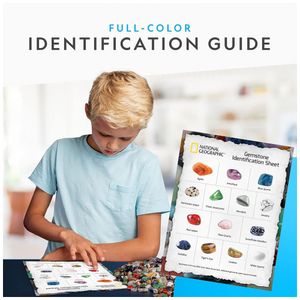 image-0fdef1eb486d4fa989777b5095db82f0