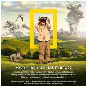 image-f977e06c805b4e5e8d764b14610d90ea