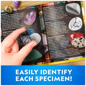 image-8974d5bc80ea405f99ef8e37e5bade48