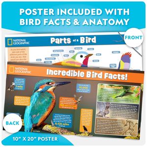 image-1d552737f59b44479b557ecd36306730