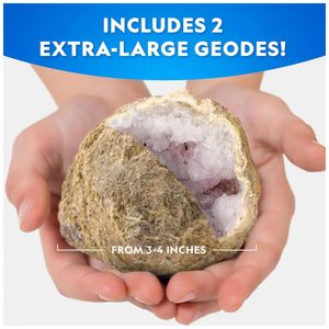 image-0fb4293491a7491bacfbed7b6abffd23