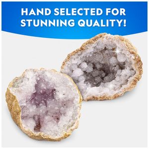 image-9ffaa7bddd3b4740900d9106043722b6