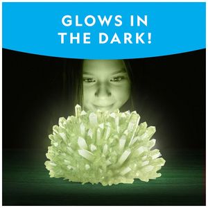 image-1f8dbda855a1448f92b9d9914fb5990d