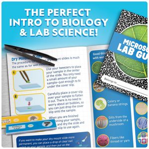 image-7ea4ab4620884ecd996bda2586c1b211