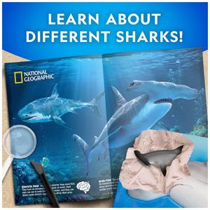 image-27e0ba294d104aa6943a653fbf2ee75f