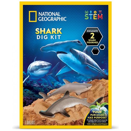 image-bbe3c2e110ec4b0a898fc868c77f25d9 image-bbe3c2e110ec4b0a898fc868c77f25d9