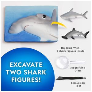 image-75d71616c3c242efb91de1e82ff55928