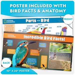 image-10a408886c694b29a02b918430359d17