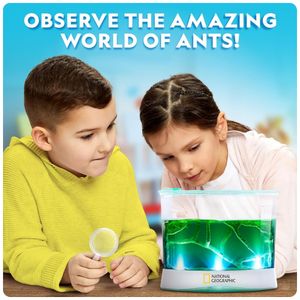 image-4cc970fafa654e5fa08728cd28990782