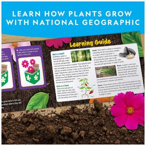 image-79ed30b2932a4c1fad23a2e7f2dd12f9