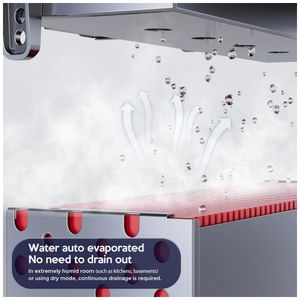 image-a09bebf9b48444f89b9cf0303bba02d1