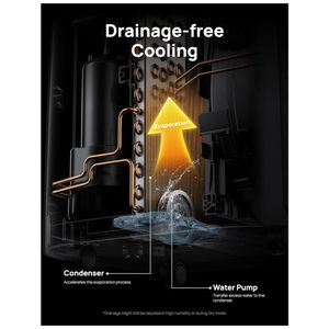 image-e2a7b8d35d374c05bc5a45cf473acff4