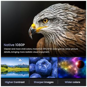 image-99225768eba04a668a1b39897237b930