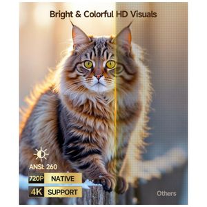 image-0336868dacc94d22be10ad3bad405d03