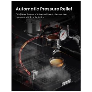 image-f67aac1a9a9d402a96b0ad72f00fe853