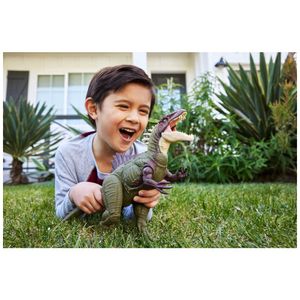 image-26a5b7990c694ab8a9a7fd786123f4e1