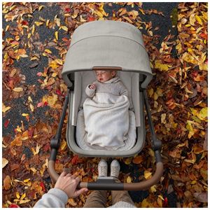 image-858a471eebe041c68bfaa85a3288ff97