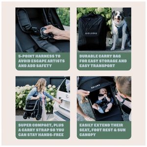 image-512ef44756c74cf78628d716cc7e5875