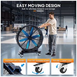 image-fe7ec4290cf147f3a526e68acb06d81e