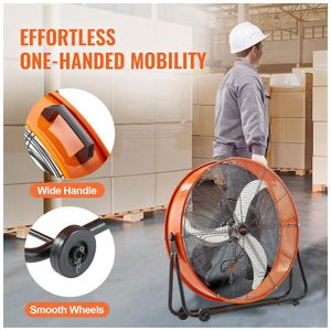 image-e37b956fd8fa4d09a7e8048cf5c60ec3